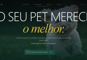 Eu vou criar um site profissional para sua empresa