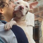 Eu vou Fazer cortes de suas lives, podcast ou vídeos longos