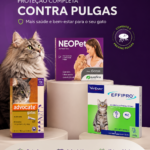 Eu vou criar pacotes de publicações