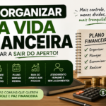 Eu vou organizar sua vida financeira