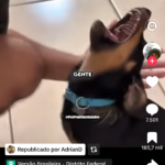 Eu vou Fazer cortes de vídeo e edição pra você da melhor for...