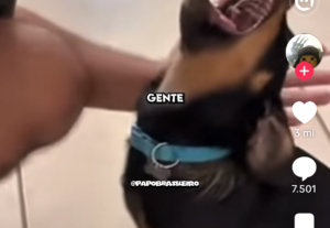 Eu vou Fazer cortes de vídeo e edição pra você da melhor for...