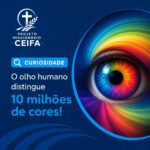 Eu vou fazer criativos para seu social media do instagram
