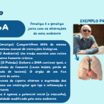 Eu vou moldar suas ideias em slides incríveis