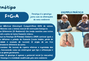 Eu vou moldar suas ideias em slides incríveis