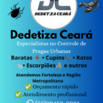 Eu vou Fazer suas artes para redes sociais