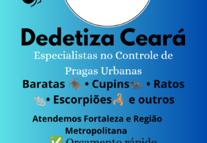Eu vou Fazer suas artes para redes sociais