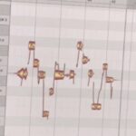 Eu vou gravar segunda voz para sua musica