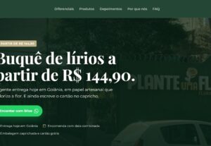 Eu vou criar uma Landing Page otimizada para seu anúncio