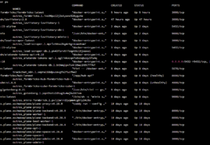 Eu vou Fazer Deploy de Aplicação em VPS com Docker
