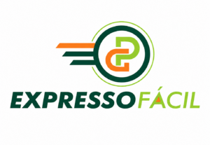 Eu vou Criar um logotipo profissional