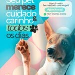 Eu vou fazer artes profissionais para suas redes sociais