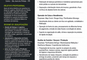 Eu vou Criar ou Reformular seu Currículo Profissional