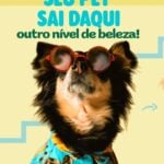 Eu vou fazer um design para você.