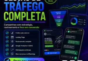 Eu vou Rodar sua campanha de trafego pago
