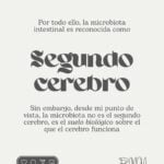 Eu vou entregar traduções e legendagens de alto impacto.