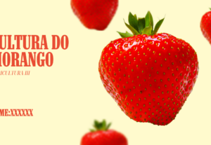 Eu vou fazer trabalhos acadêmicos com slides