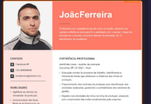 Eu vou criar ou reformular o seu currículo profissional