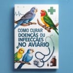 Eu vou fazer design profissional de posts para seu negócio