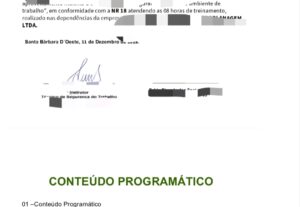 Eu vou fazer seu certificado online em PDF.