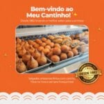 Eu vou Gerenciar e criar conteúdo estratégico para sua marca...