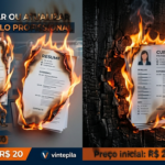 Eu vou Criar e Revisar seu Currículo