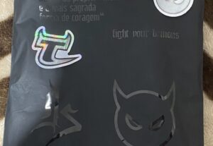 Eu vou fazer a logo para sua empresa