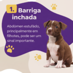 Eu vou fazer vídeos e artes profissionais para suas redes.
