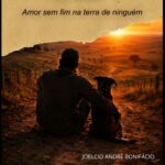 Eu vou criar a capa do seu livro