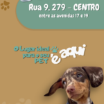 Eu vou criar um catálogo de produtos/valores para sua empres...