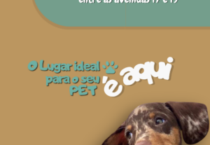 Eu vou criar um catálogo de produtos/valores para sua empres...