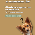 Eu vou criar um catálogo de produtos/valores para sua empres...