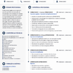 Eu vou fazer Um Currículo Profissional que Destaca Você no M...