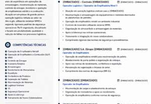 Eu vou fazer Um Currículo Profissional que Destaca Você no M...
