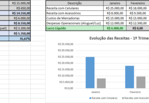 Eu vou criar sua planilha financeira com DRE
