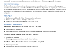 Eu vou criar um currículo profissional e moderno, otimizado