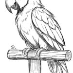 Eu vou Fazer qualquer desenho digital que você precisar/quis...