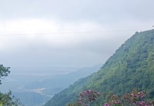 Eu vou criar os melhores cortes do seu vídeo.