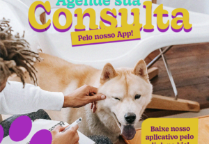 Eu vou Criar um design profissional para o seu instagram