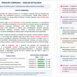 Eu vou corrigir a sua redação de forma detalhada