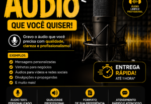 Eu vou enviar um áudio falando o que você quiser