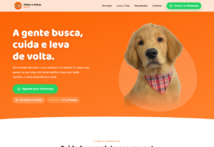 Eu vou desenvolver Sites e Sistemas com ia para você