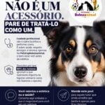 Eu vou fazer posts estratégicos para engajamento