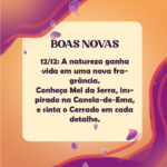 Eu vou criar um post de Instagram