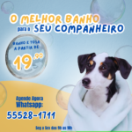 Eu vou criar artes profissionais para redes sociais no canva...