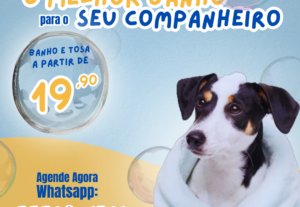 Eu vou criar artes profissionais para redes sociais no canva...