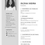 Eu vou Criar e melhorar currículos profissionais para você