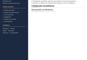 Eu vou criar seu currículo profissional