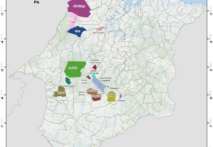 Eu vou criar mapas profissionais para seu projeto