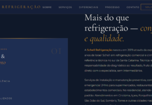 Eu vou fazer seu site profissional, em estilo boutique de lu...